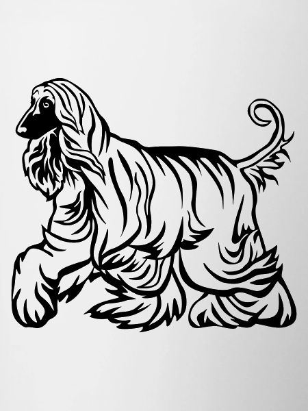 Afghan