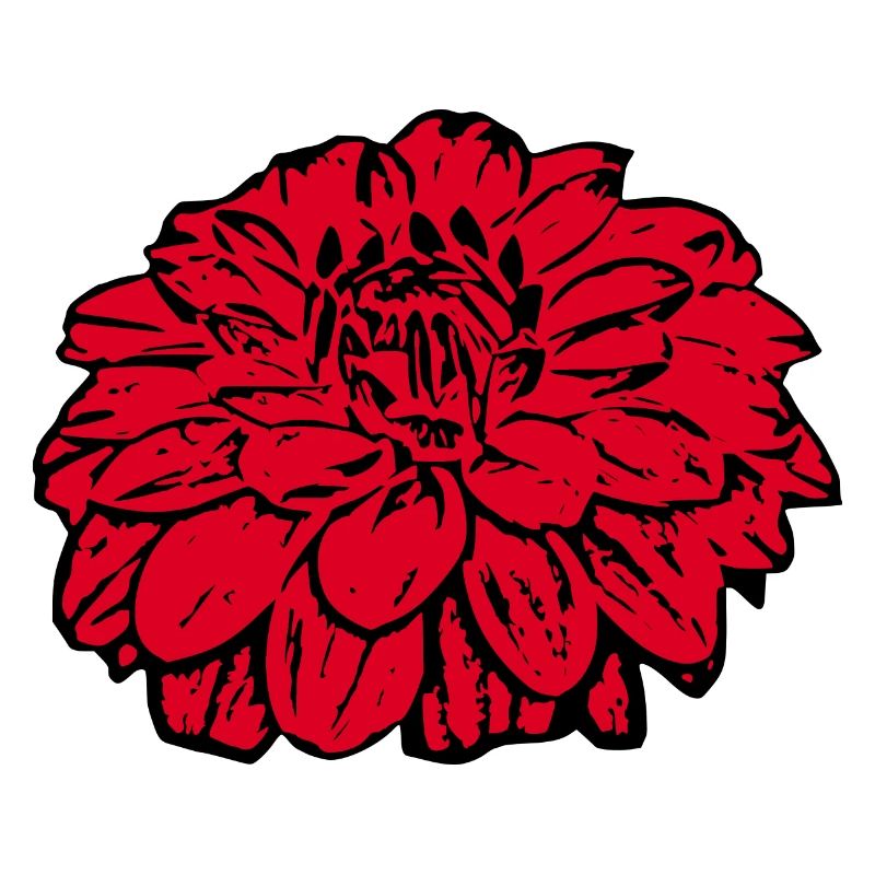 Fleur Rouge Fleur Rouge Fleurs Rouge Fleurs Rouge