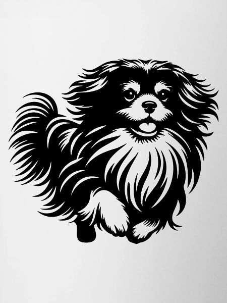 Tibetan Spaniel