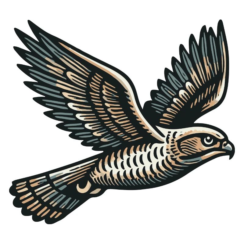 Rapace
