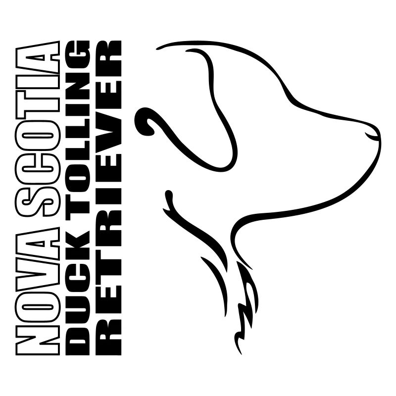 Nouvelle-Écosse Retriever PROFIL