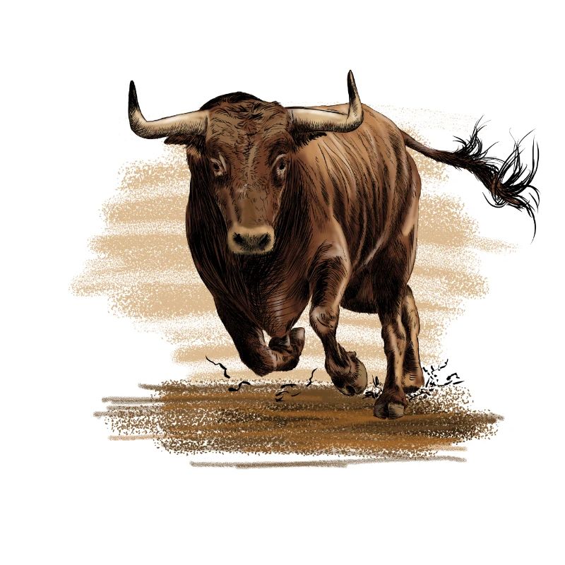 Stier