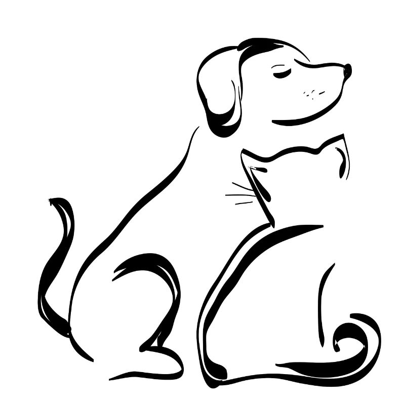 Chien & chat