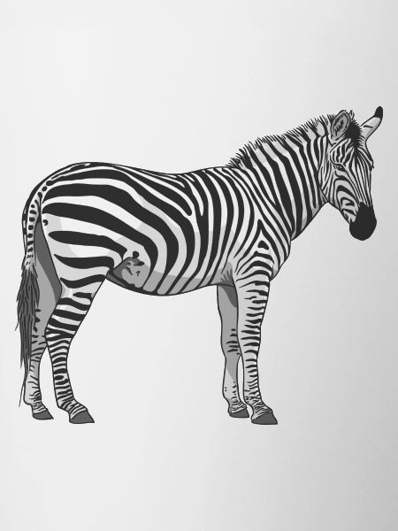 le zèbre