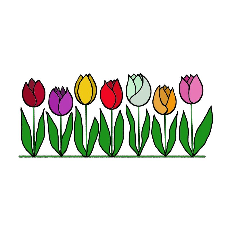 Tulipes, fleurs, printemps