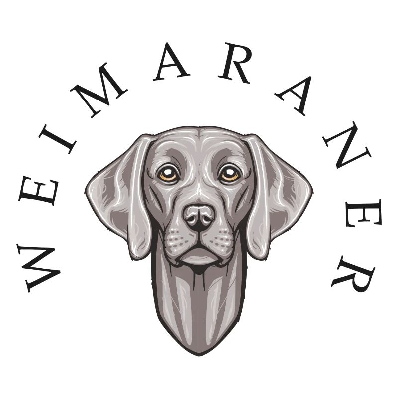 Weimaraner