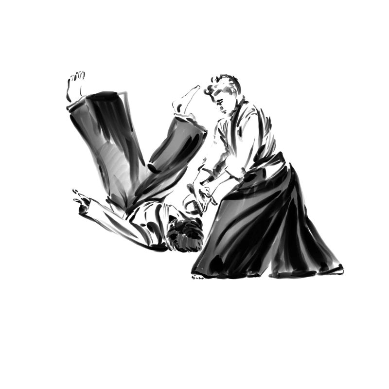 aikido