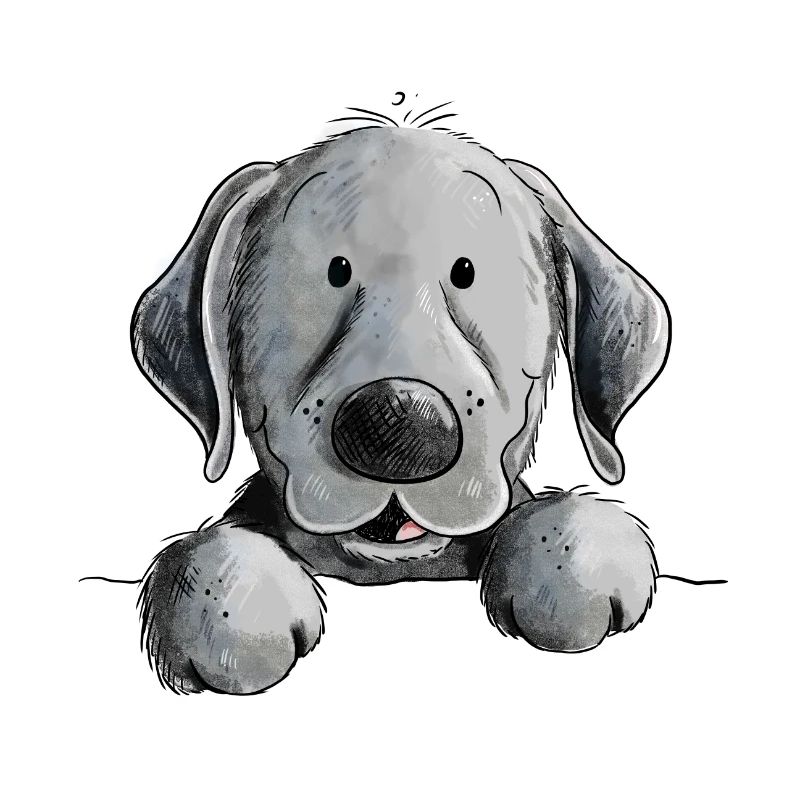 Glücklicher Schwarzer Labrador Retriever Hund