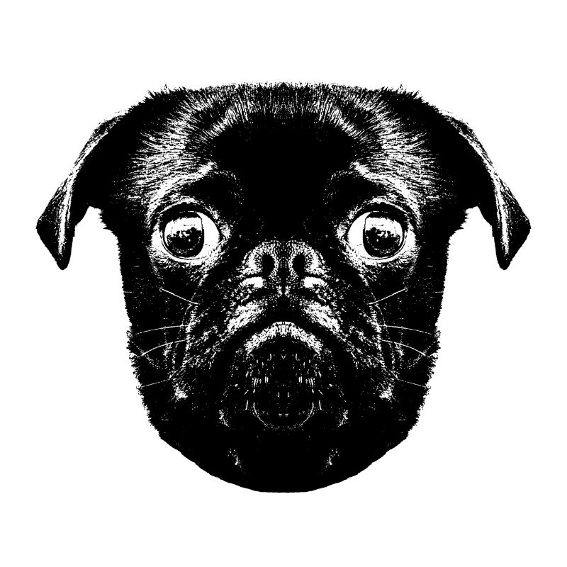 Otto's Mops hopst