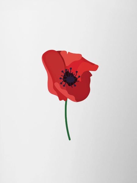 british legion poppy day