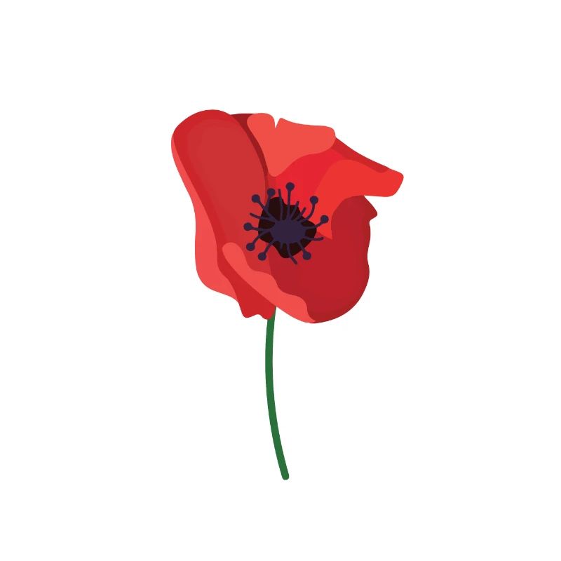 british legion poppy day