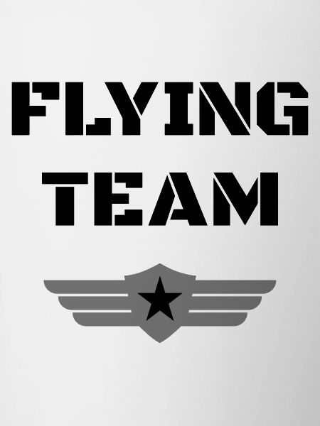 Flying team (badge, wings, star)