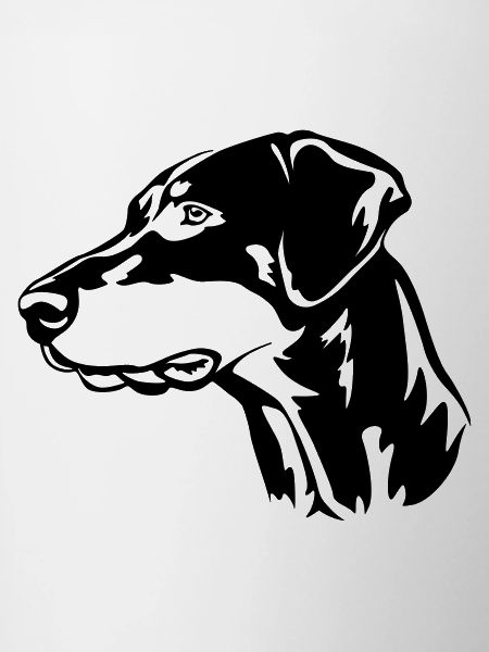 Doberman Head