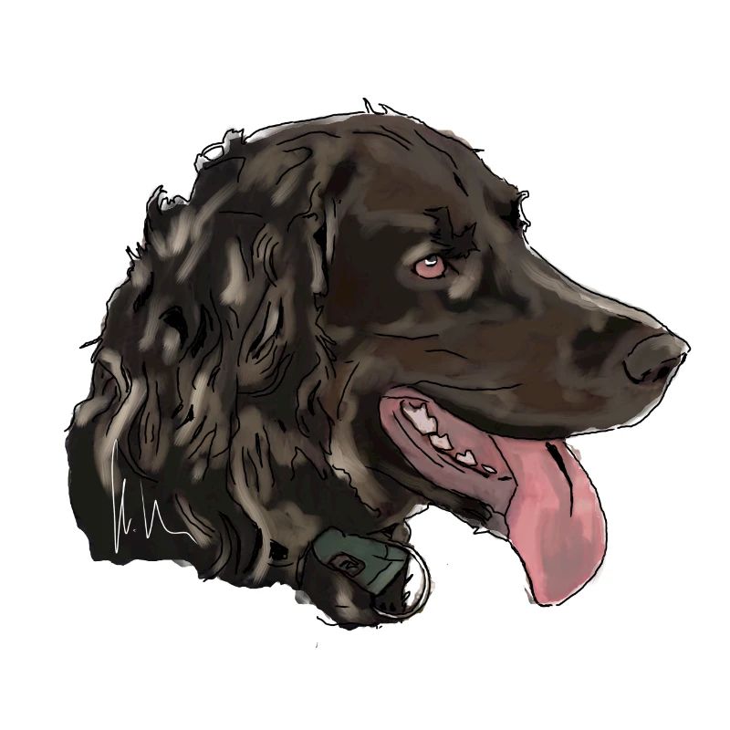 Quaildog