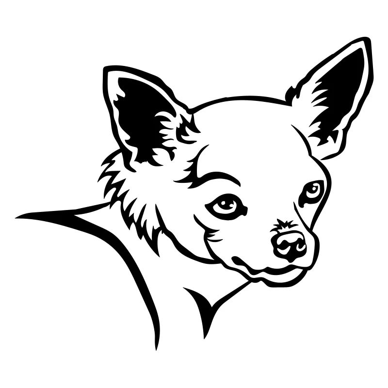 Chihuahua Kopf