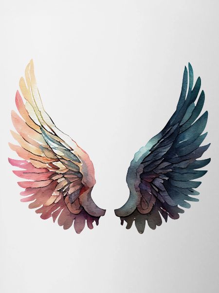 Artistic Rainbow Wings
