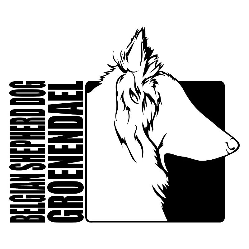Berger Belge Groenendael Profil Wilsigns