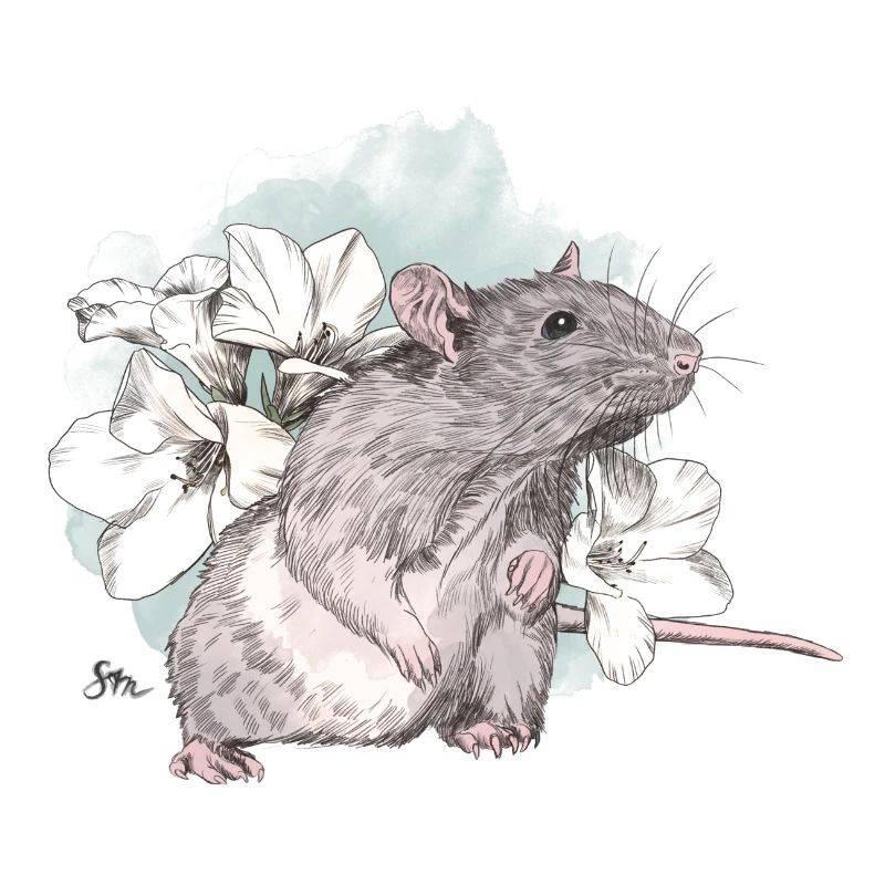 Rat devant de délicates fleurs sur une masse aquarelle
