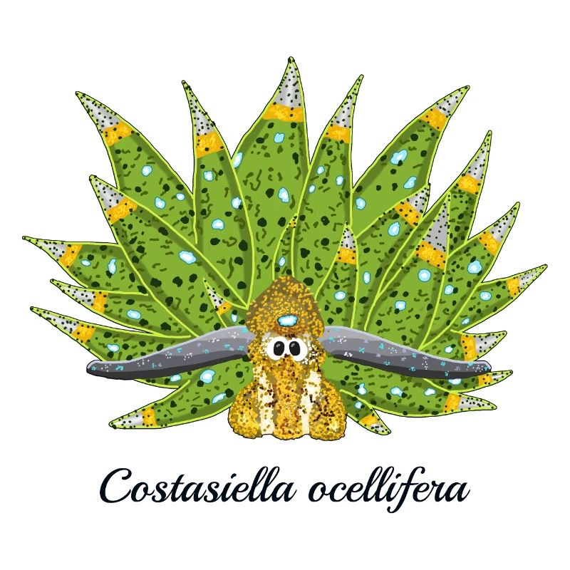 Escargot De Mer Mignon, Feuille De Mouton, Dessin