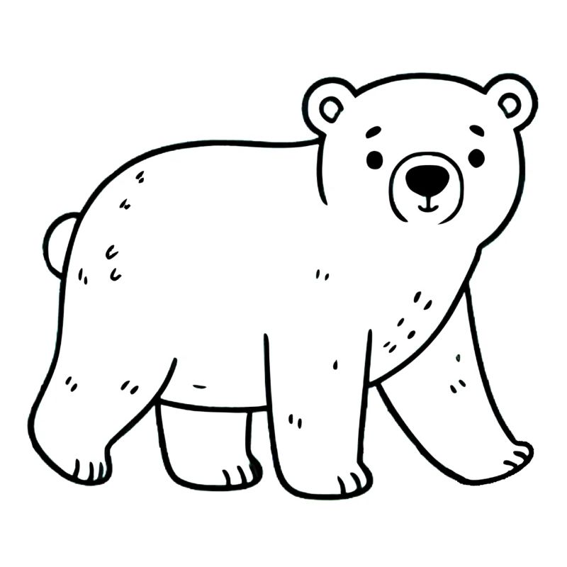 Polar bear