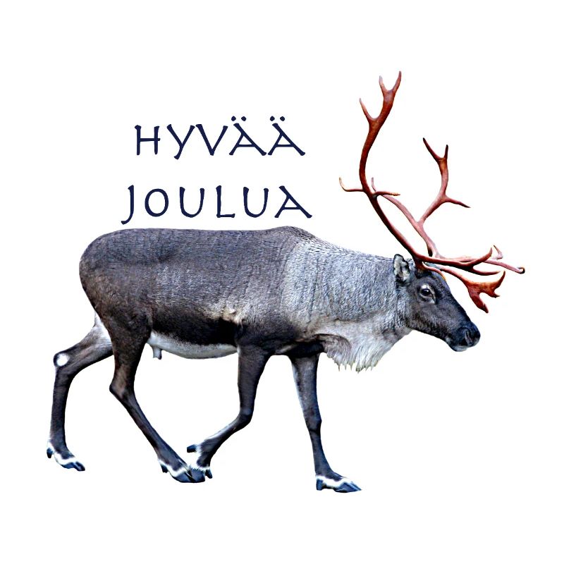 Hyvaa Joulua
