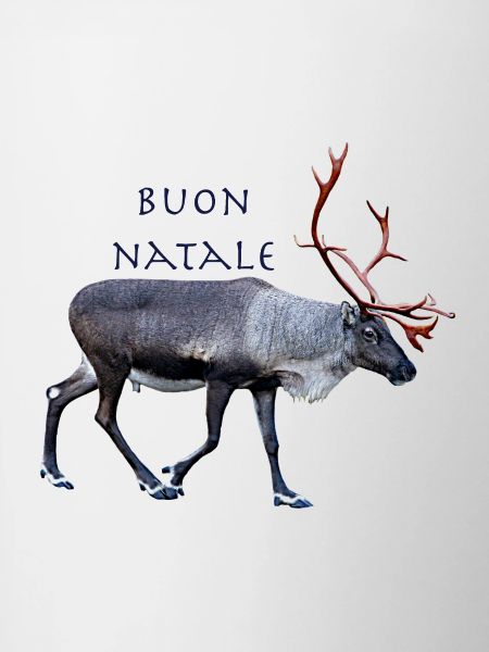 Buon Natale