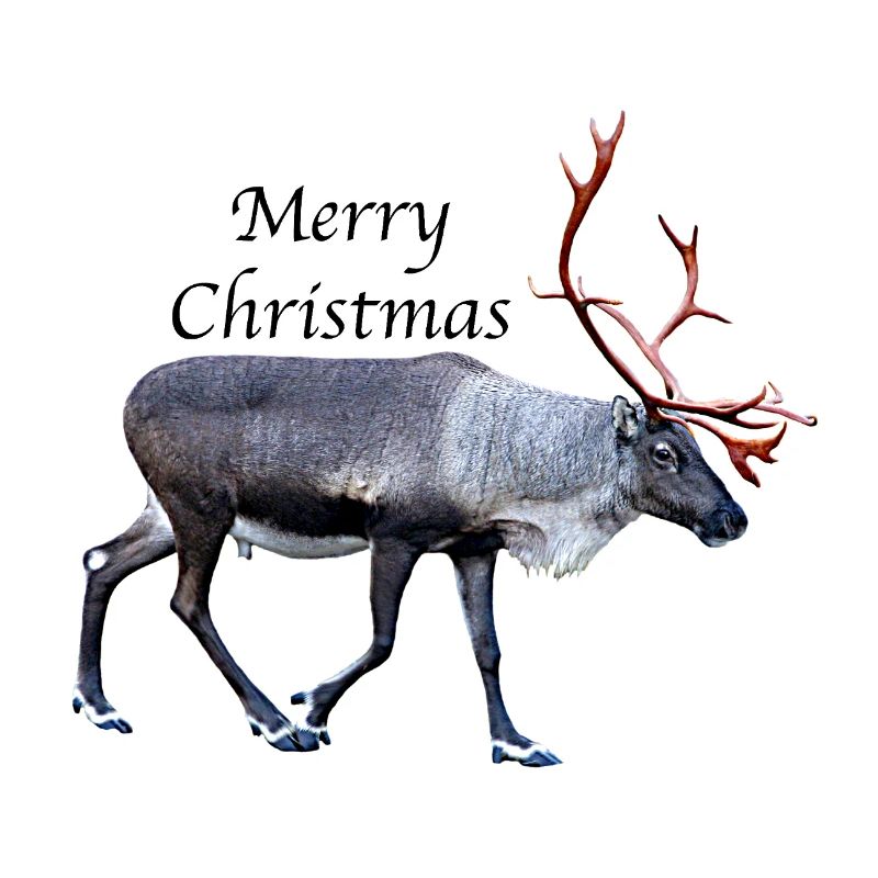 Joyeux Noël