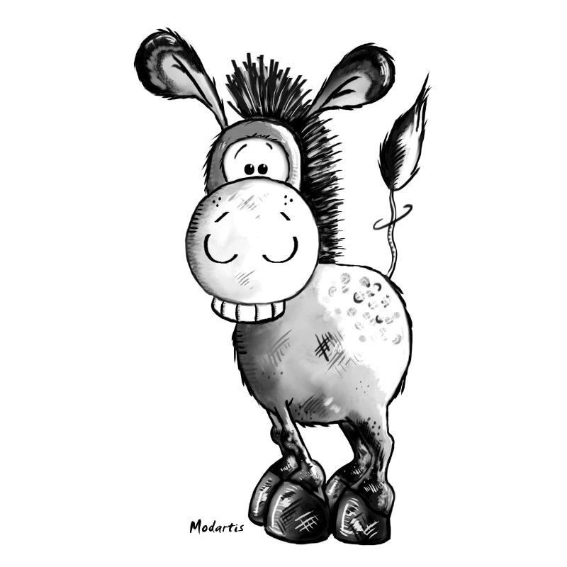 Drôle d'âne - Cheval - Animaux