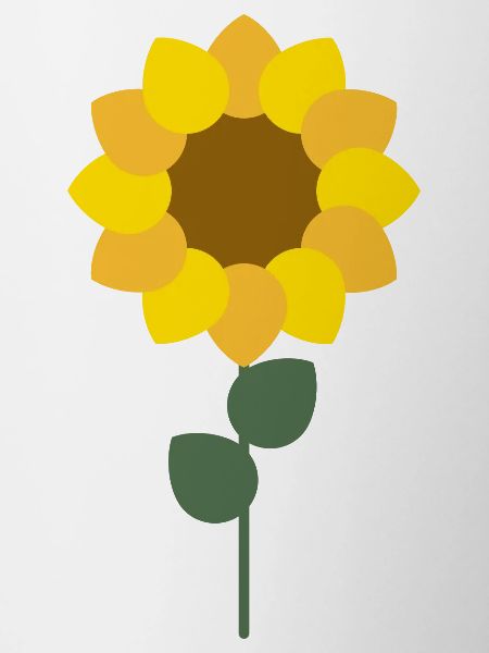 Sonnenblume
