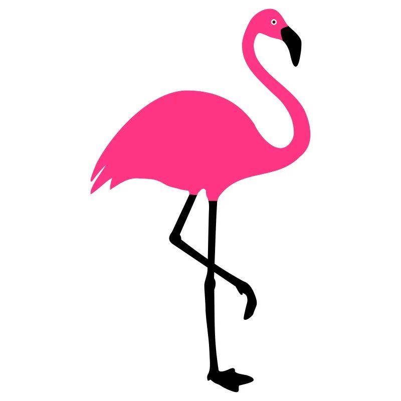 Flamingo Summer Sun Beach