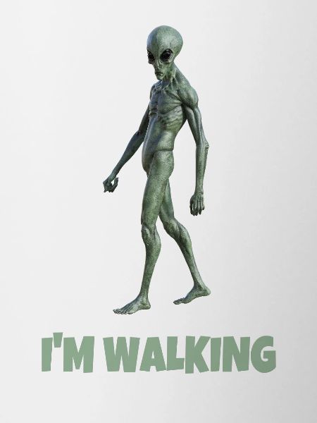 I'M WALKING