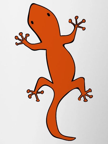 salamandre