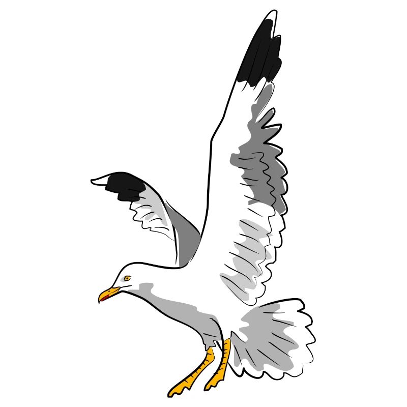 vogel möwe strand