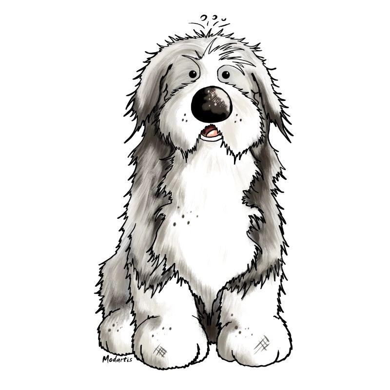 Funny Bearded Collie