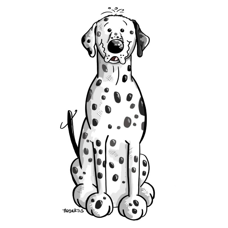 Mignon Dalmatien