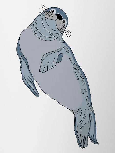 Seal seal