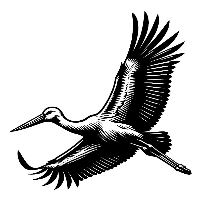Eleganter Storchen Vogel im Flug