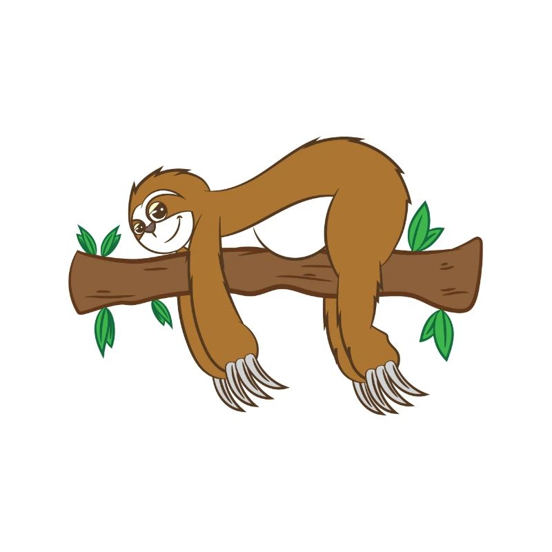 Sloth Gift-Animal Lover-Not So Fast