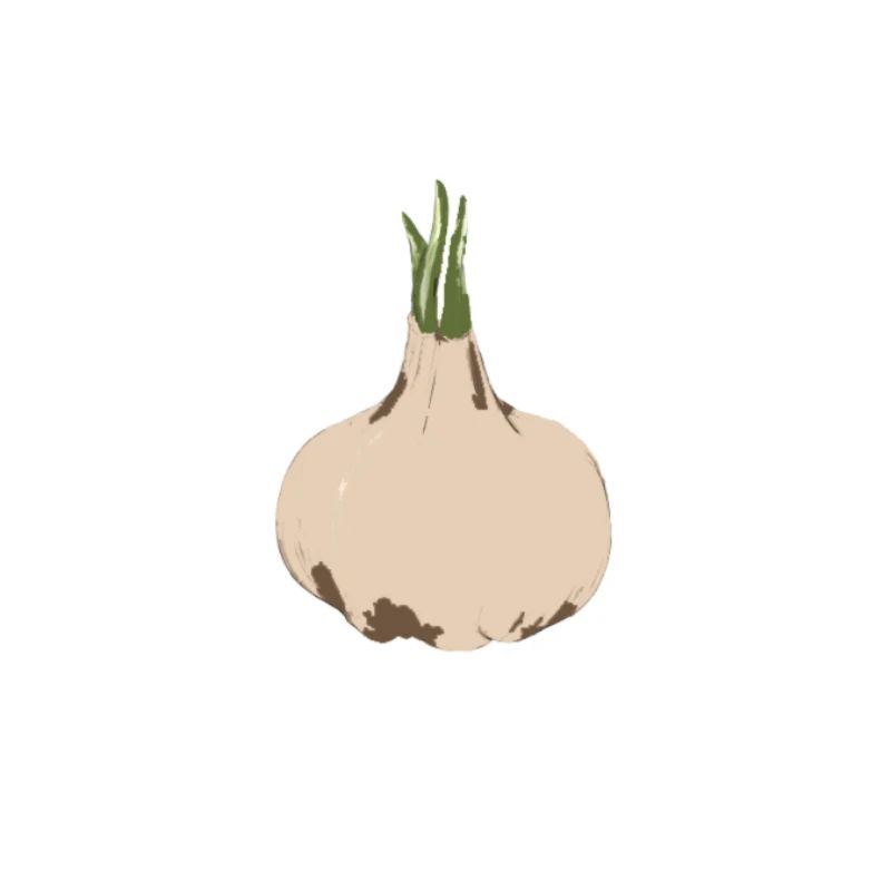 GARLIC