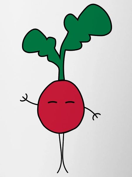 Radish doodle