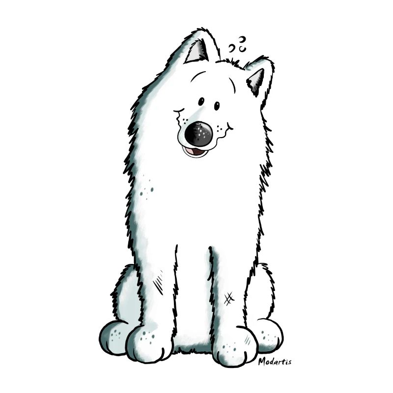 Mignon Samoyède Chien