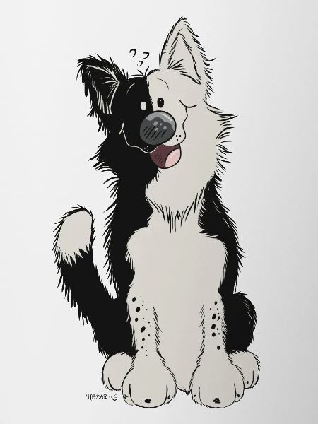 Cute Border Collie