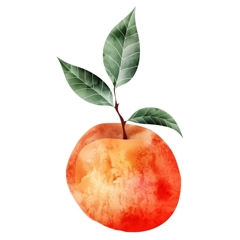 glowing peach with leaves illustration