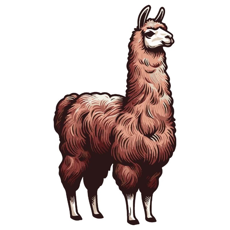 Lama brun