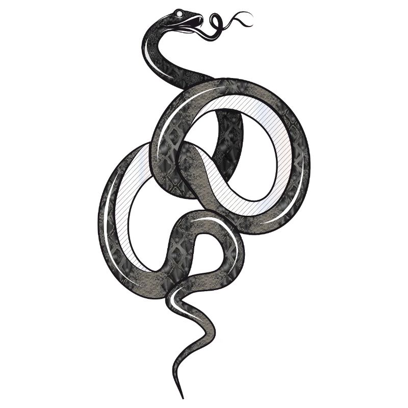 Fascinating snake in black glossy structure