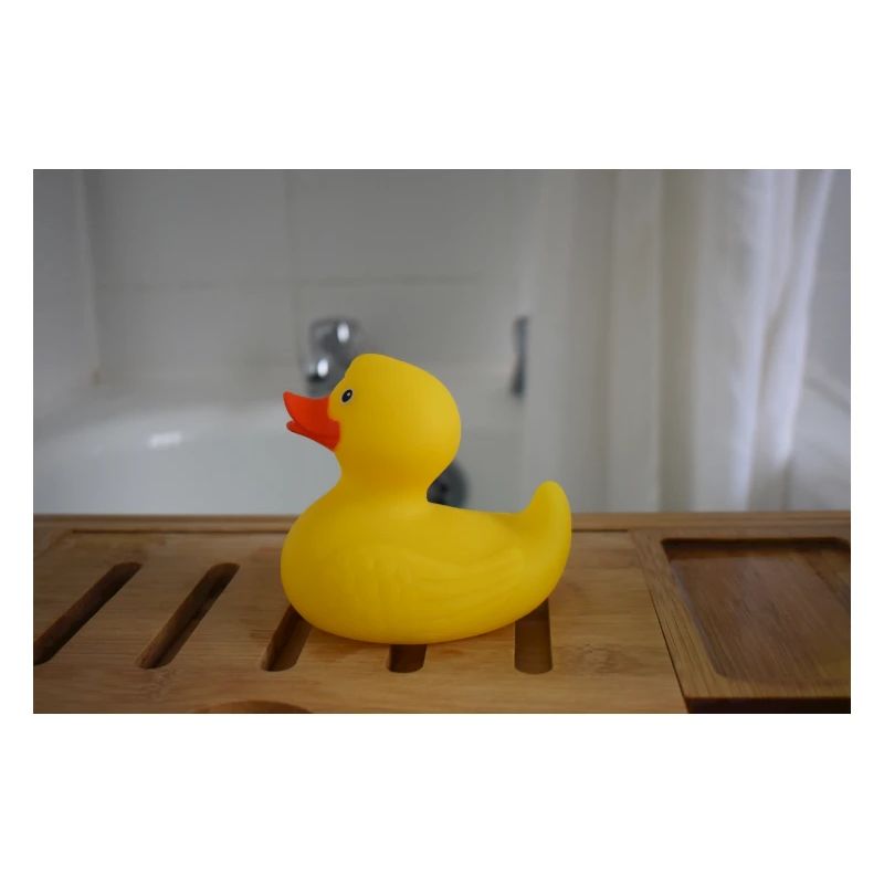 Rubber ducky