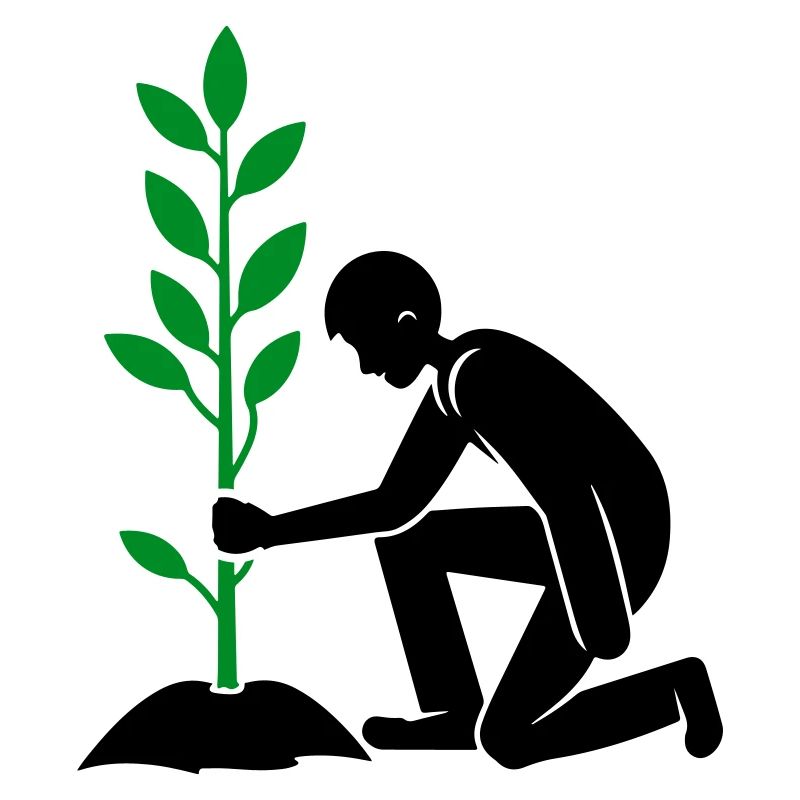Environnement de plantation