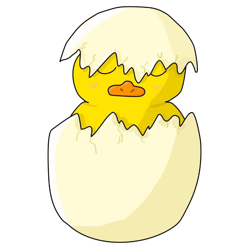 chick