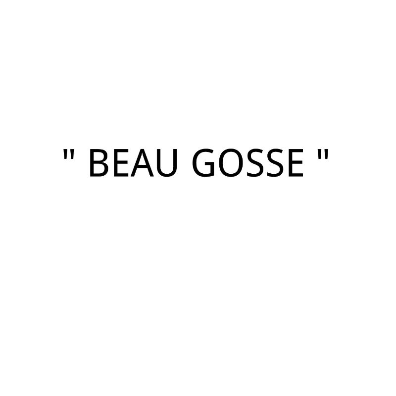 " BEAU GOSSE "
