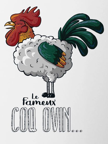 Coq ovin